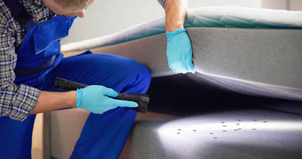 Best Rat Extermination Near Me  in Burlington, KY