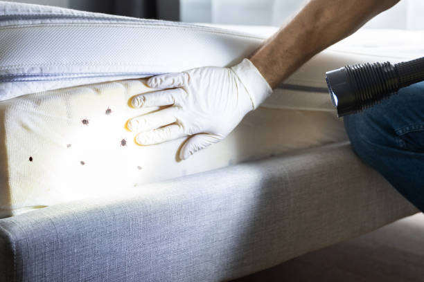 Best Best Pest Control Companies  in Burlington, KY