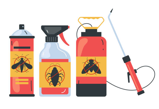 Flea Control Services in Burlington, KY